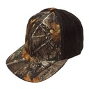 kadolin-image-g-001058