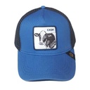 kadolin-image-g-002034