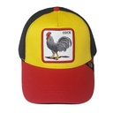 kadolin-image-g-002048