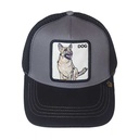 kadolin-image-g-002066