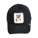 kadolin-image-g-002104