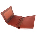 kadolin-image-g-002288