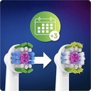 kadolin-image-g-002987