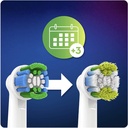 kadolin-image-g-002998