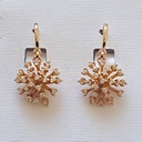 kadolin-image-g-003776