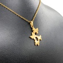 kadolin-image-g-004236