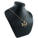 kadolin-image-g-004309