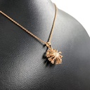 kadolin-image-g-004355