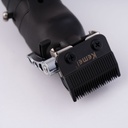 kadolin-image-g-005722