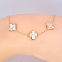 kadolin-image-g-006421