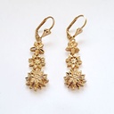 kadolin-image-g-006613