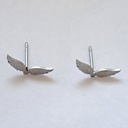 kadolin-image-g-006851