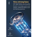 kadolin-image-g-006968