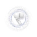 kadolin-image-g-007445