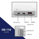 kadolin-image-g-008484