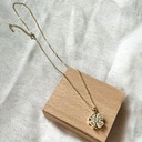 kadolin-image-g-009042