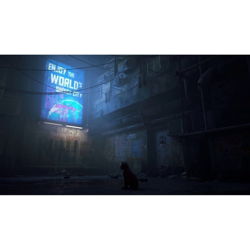 kadolin-image-g-009560