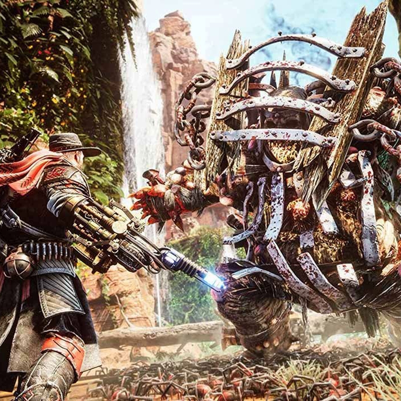 kadolin-image-g-009587