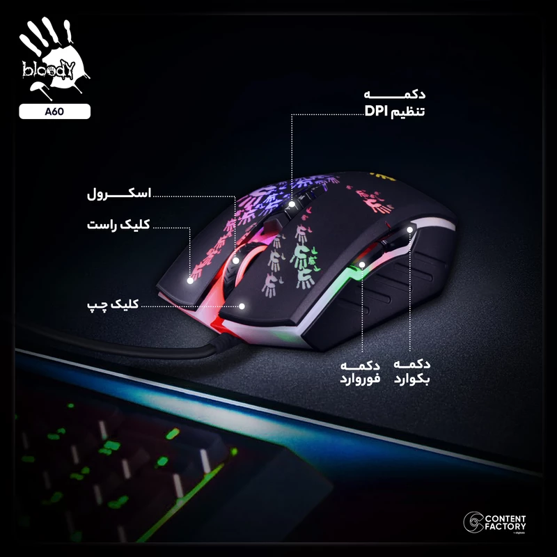 kadolin-image-g-009956