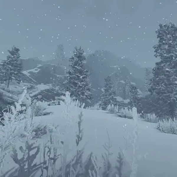 kadolin-image-g-010068