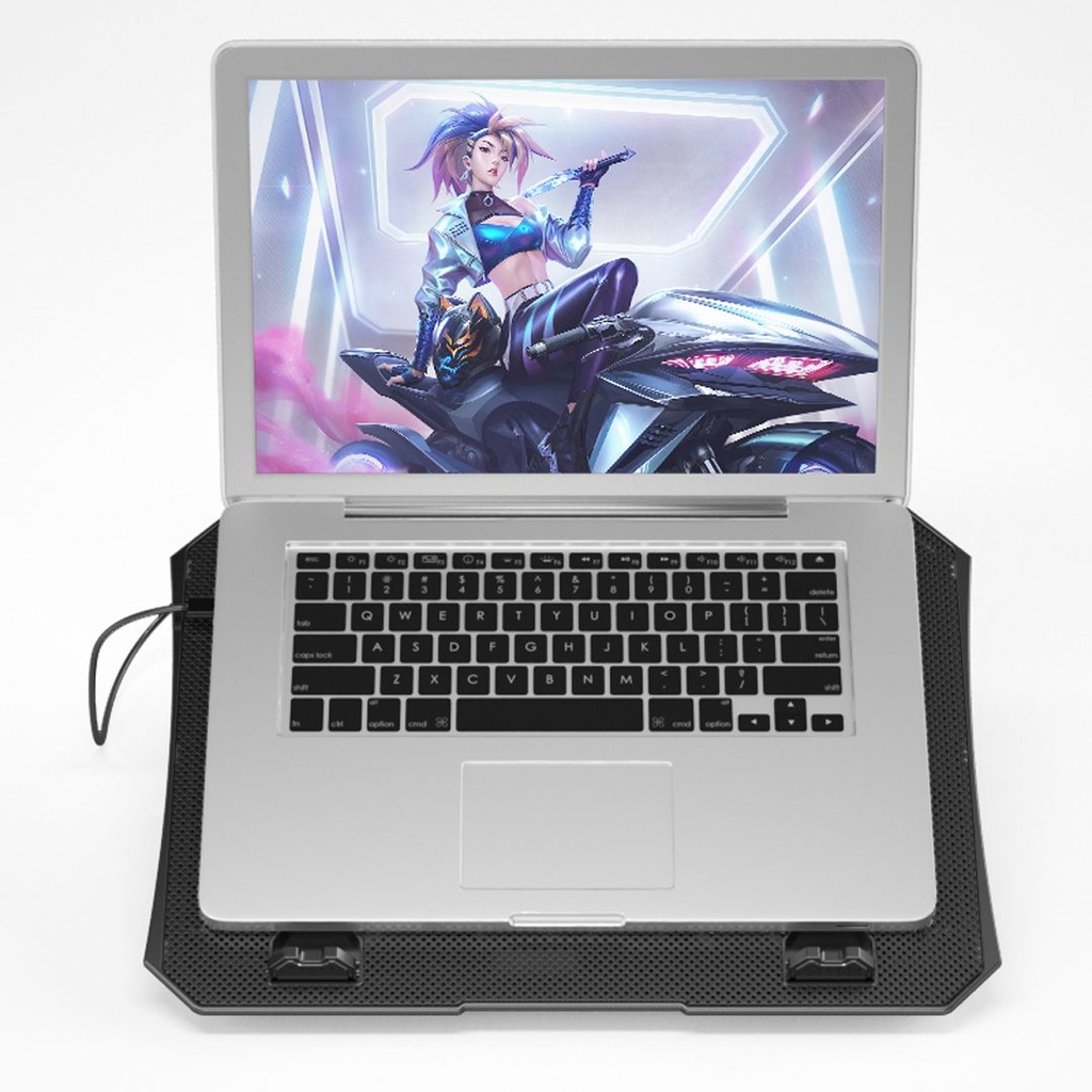 kadolin-image-g-010889