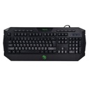 kadolin-image-g-010920