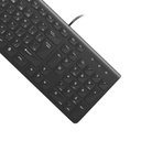 kadolin-image-g-010949