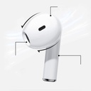 kadolin-image-g-011234