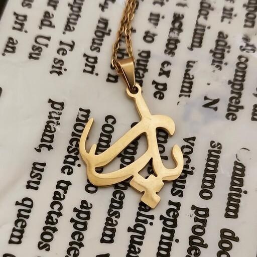 kadolin-image-g-012681