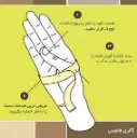 4981fd84bf5f6ca3c44df5ec37c9b37f.webp