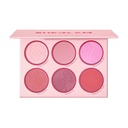  پالت رژ گونه شیگلم مدل Blushing Bouquet