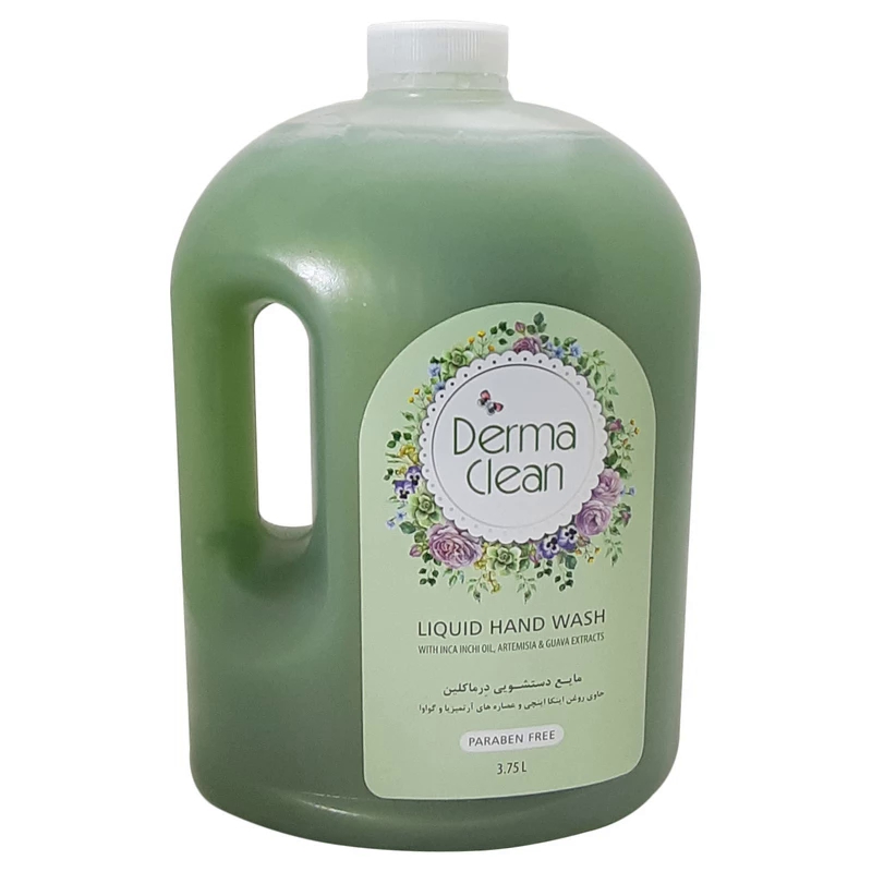 مایع دستشویی درماکلین مدل آرتمیزیا و گواوا 3.75 لیتر