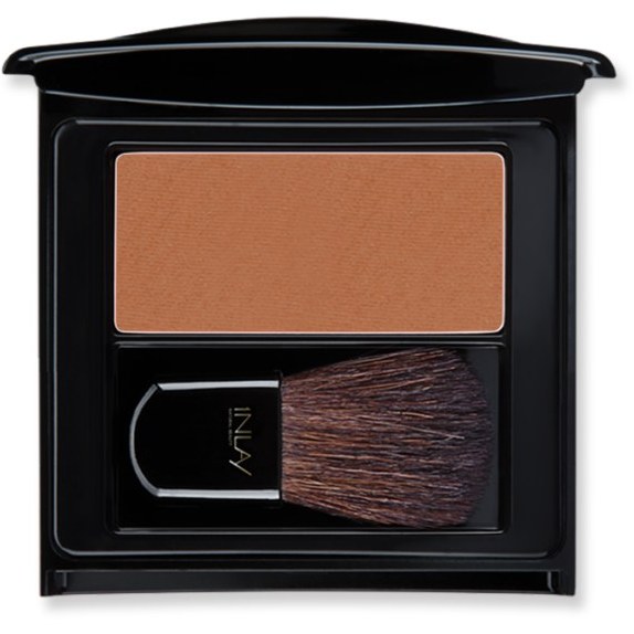  رژگونه این لی مدل Cinnamon Bronze شماره 09