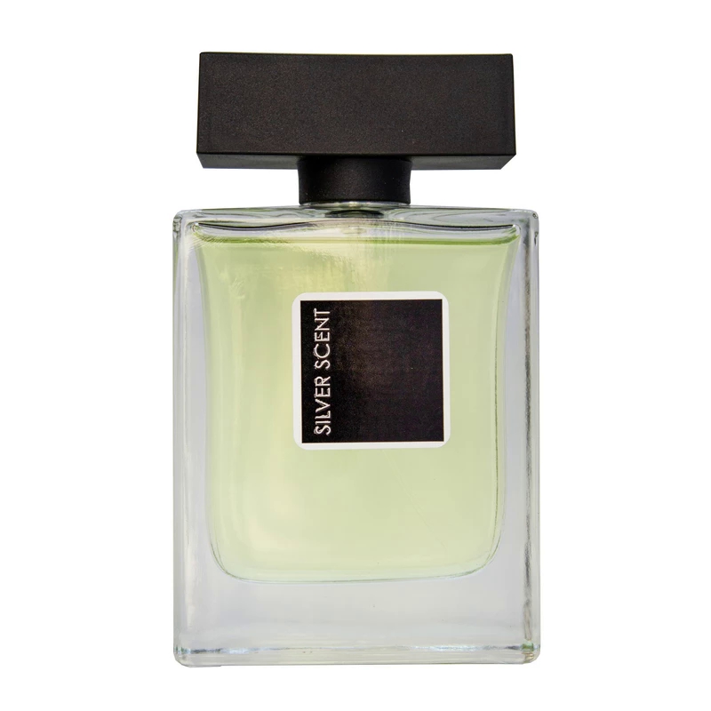 ادکلن ادوپرفیوم مردانه نیو پرستیژ کالر مدل Silver Scent حجم 100 میل