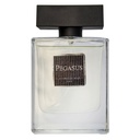 ادکلن ادوپرفیوم مردانه نیو پرستیژ کالر مدل Pegasus حجم 100 میل