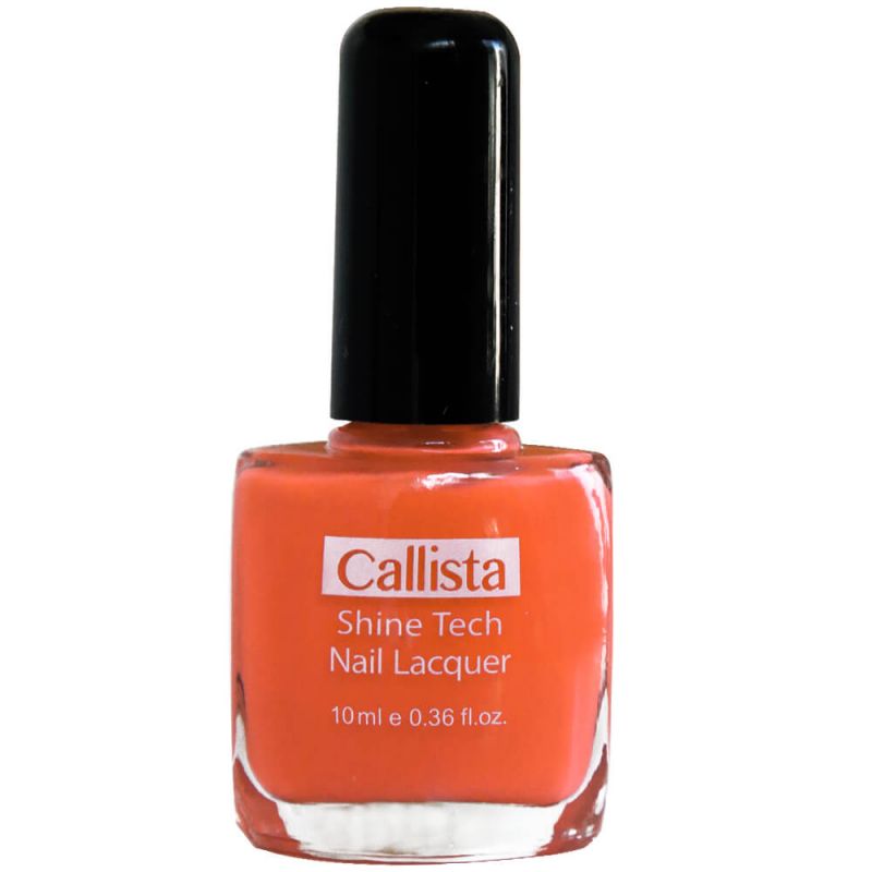 لاک ناخن کالیستا مدل Shine Tech شماره N17