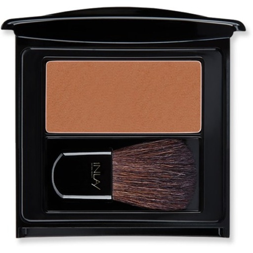  رژگونه این لی مدل Cinnamon Bronze شماره 09