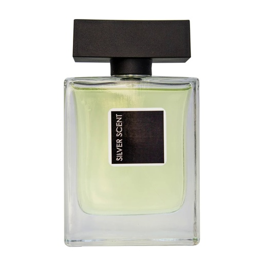 [191682] ادکلن ادوپرفیوم مردانه نیو پرستیژ کالر مدل Silver Scent حجم 100 میل